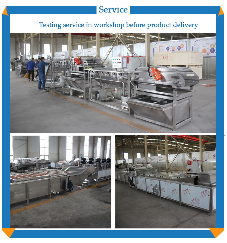 vegetable washing lanching machine